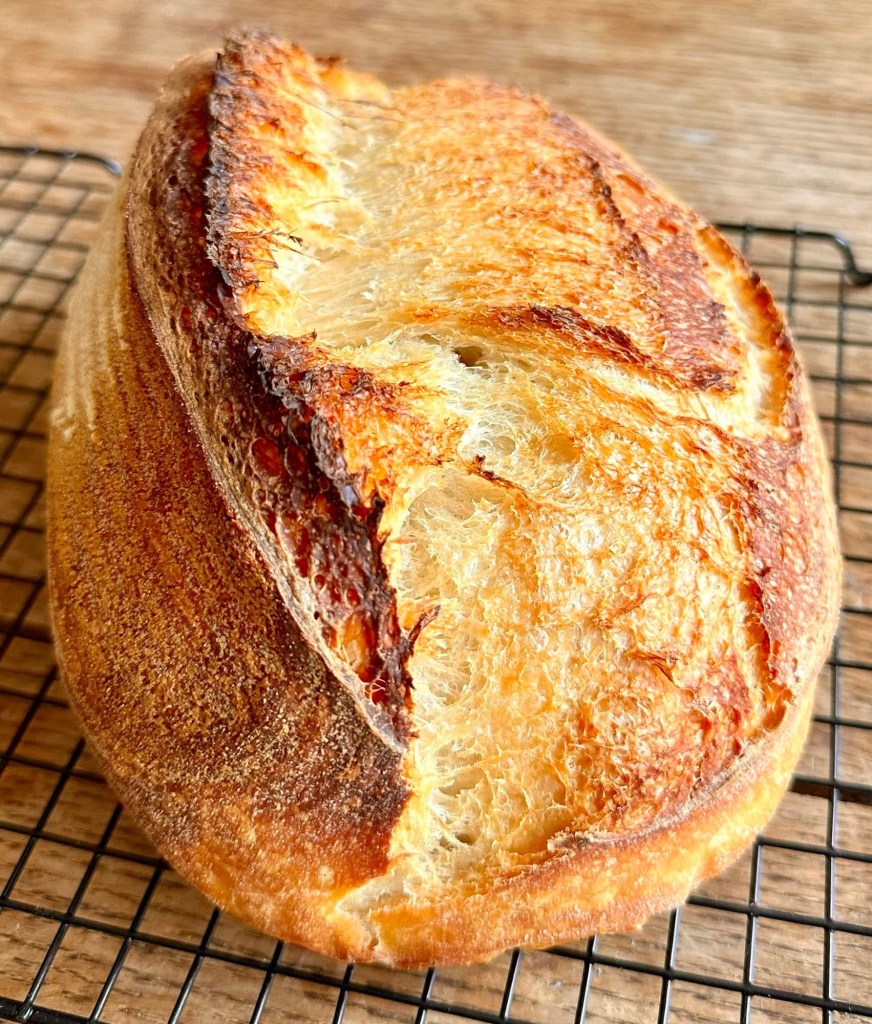 Rustic artisan buttermilk sourdough loaf with golden crust and dramatic ear.
