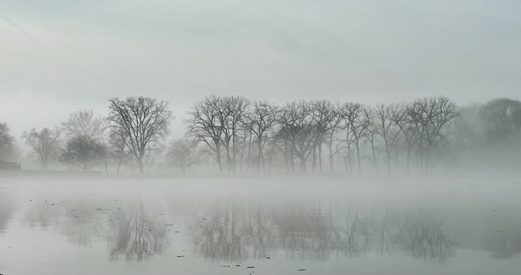 Foggy Hudson River scene with silhouetted trees reflected in still water  at slack tide.