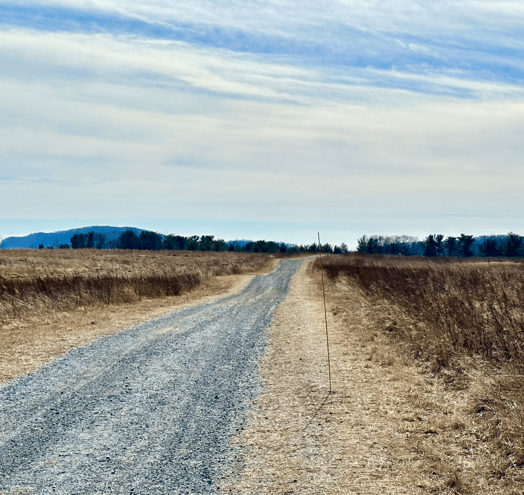 straight dirt road cutting through open fields, stretching far into the horizon.