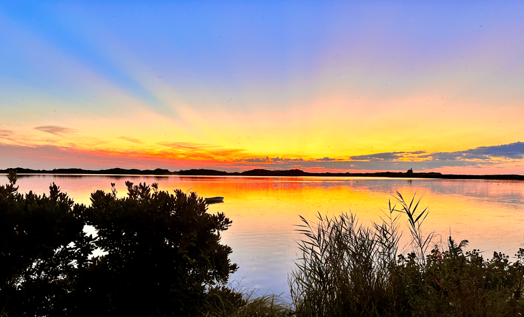 A tranquil sunset over a calm body of water, with vibrant orange, pink, and blue hues in the sky. Silhouettes of shrubs and grasses in the foreground reflect against the water's surface.