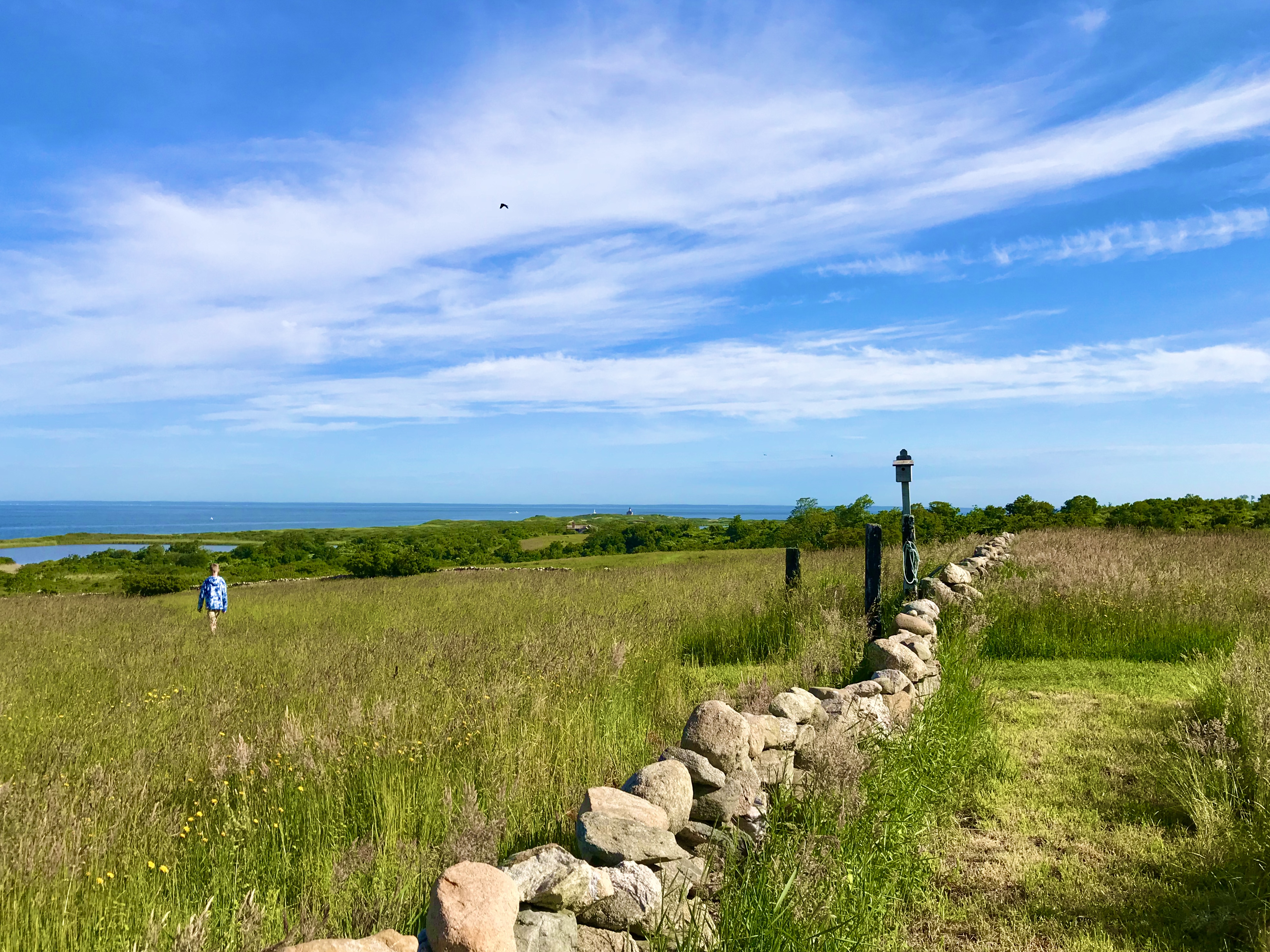 Stone wall running through a grassy field under a blue sky with ocean background.
