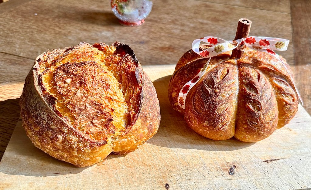 Golden pumpkin sourdough loaf with cinnamon stick stem and ribbon next to rustic pumpkin sourdough batard.