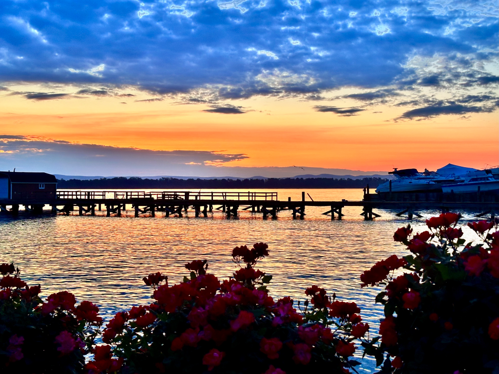 Colorful sunset sky over a wooden pier, framed by vibrant flowers in the foreground.