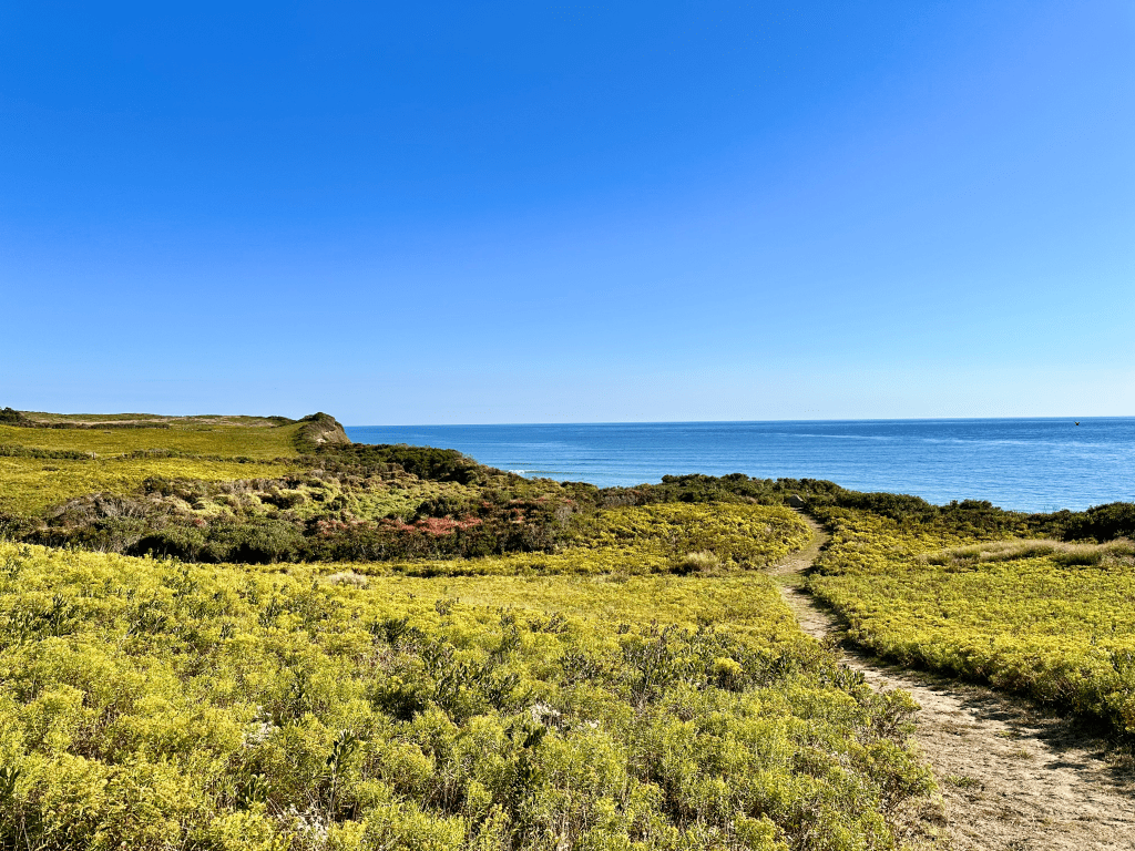 Narrow path winding along coastal bluffs with ocean visible in the background.