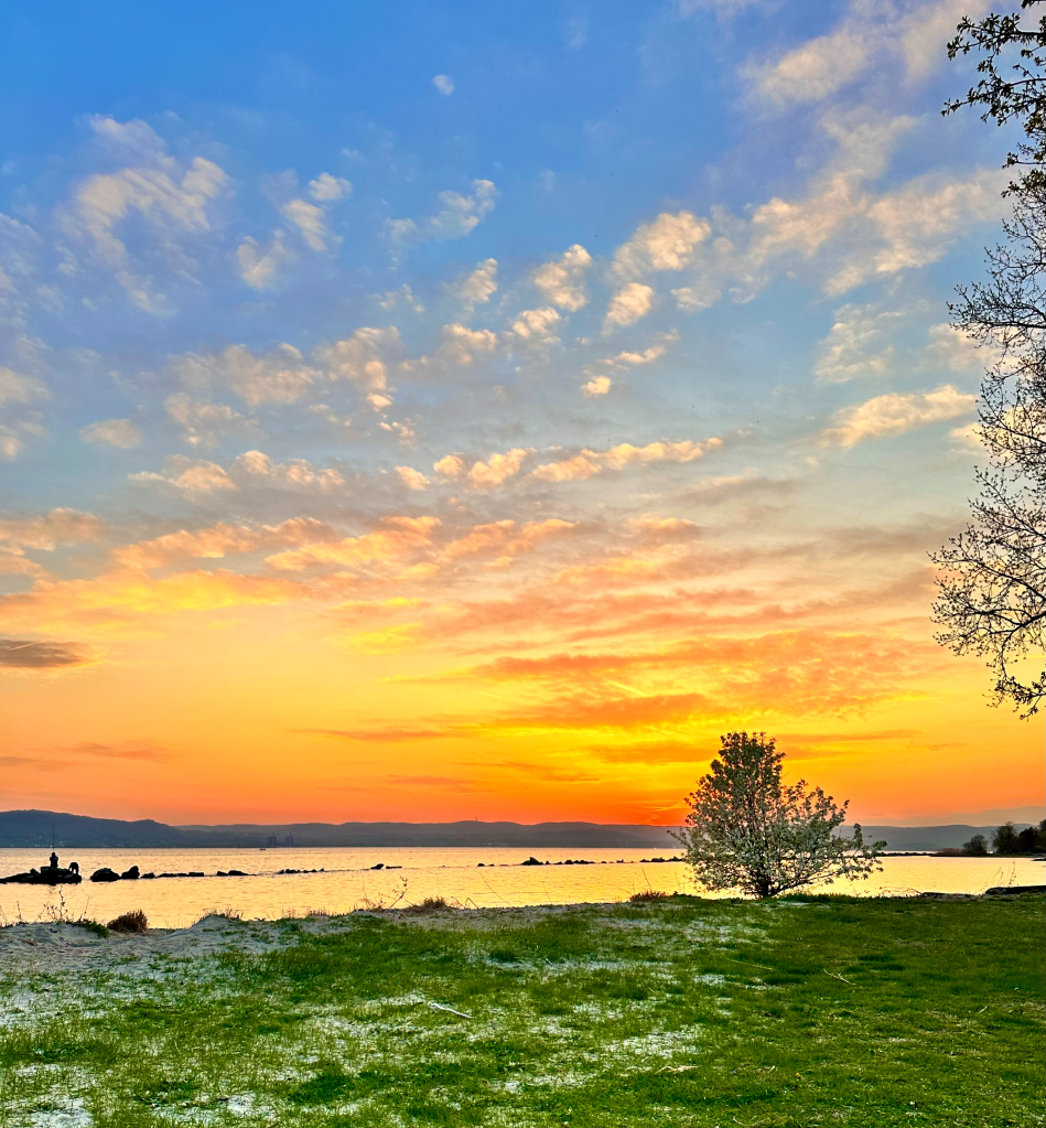 Brilliant orange and yellow sunset sky with a silhouetted tree beside the Hudson River and green shoreline.