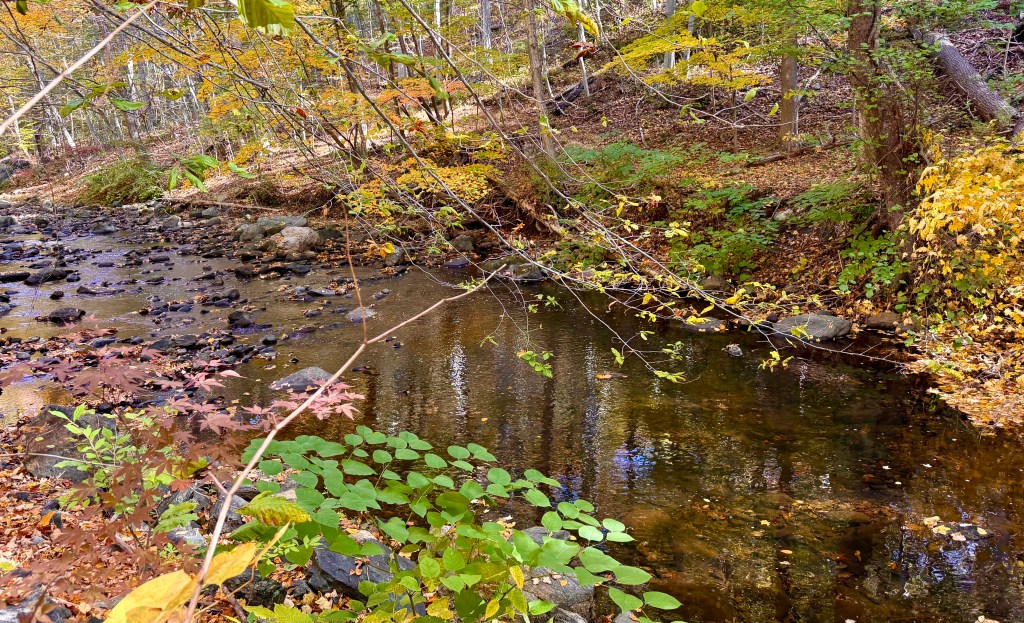 The Pocantico River - a tributary to the Hudson River in Sleepy Hollow, NY.
