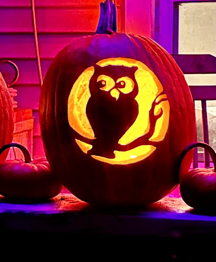 A carved pumpkin with a glowing owl design, set against a colorful background.
