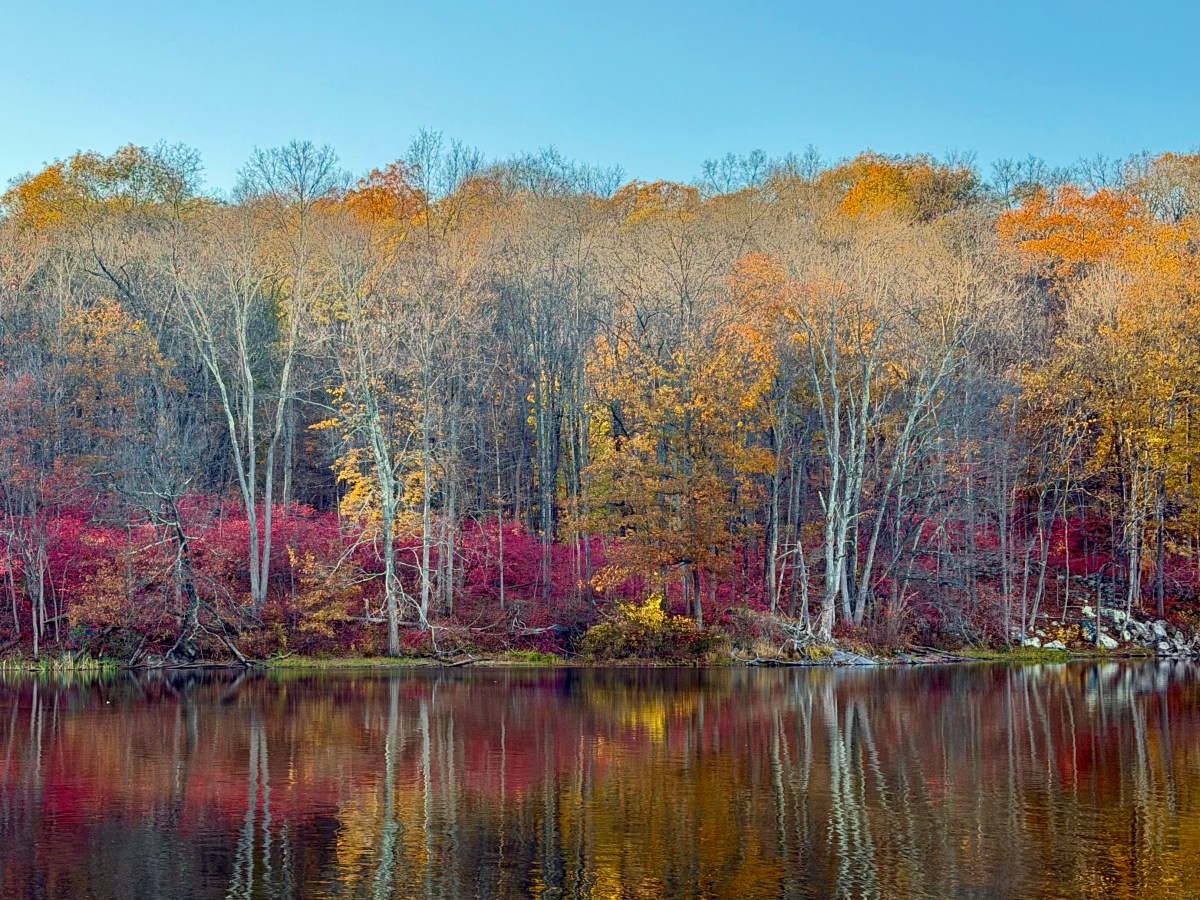 Falling Leaves and Cool, Crisp&nbsp;Days….