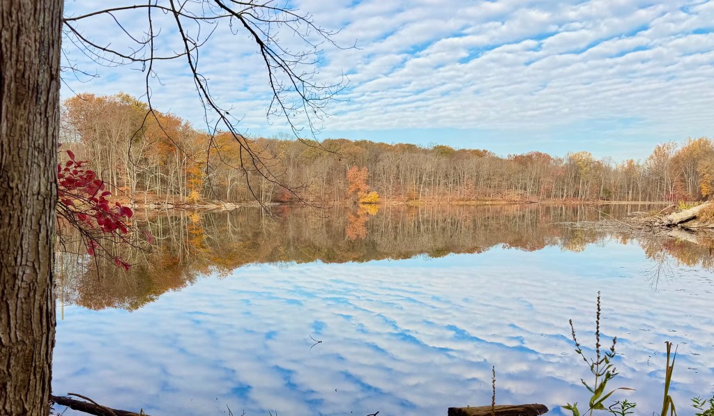 Clouds and blue sky reflecting off of lake with autumn backdrop - Teatown Lake Preservation.