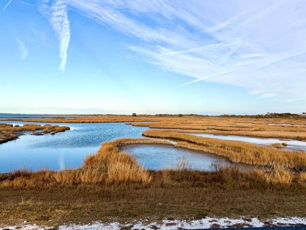 Swan Cove Trail on Assateague Island - Chincoteague National Wildlife Refuge, Virginia.