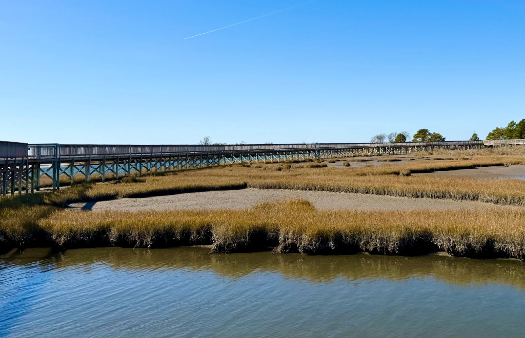 The boardwalk and marshes of the Life of the Marsh Trail on Assateague island, Maryland.