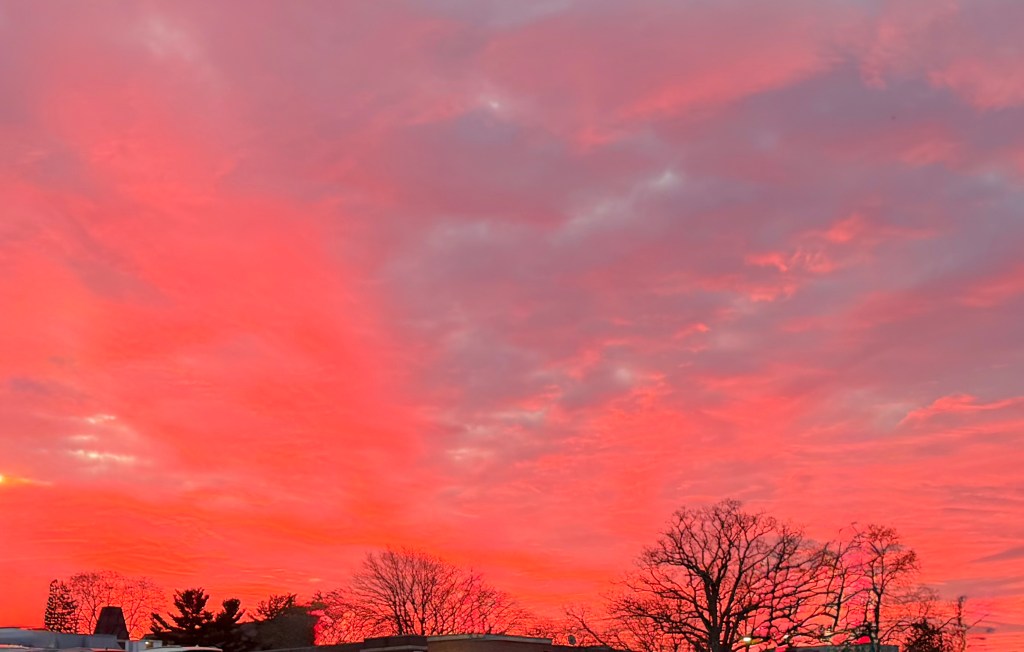 A vibrant sunrise with deep pink and lavender clouds and silhouetted bare trees.