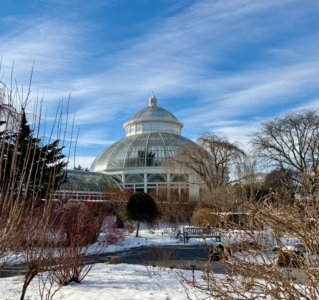 Tropical Vibes in the Bronx: A Winter Escape