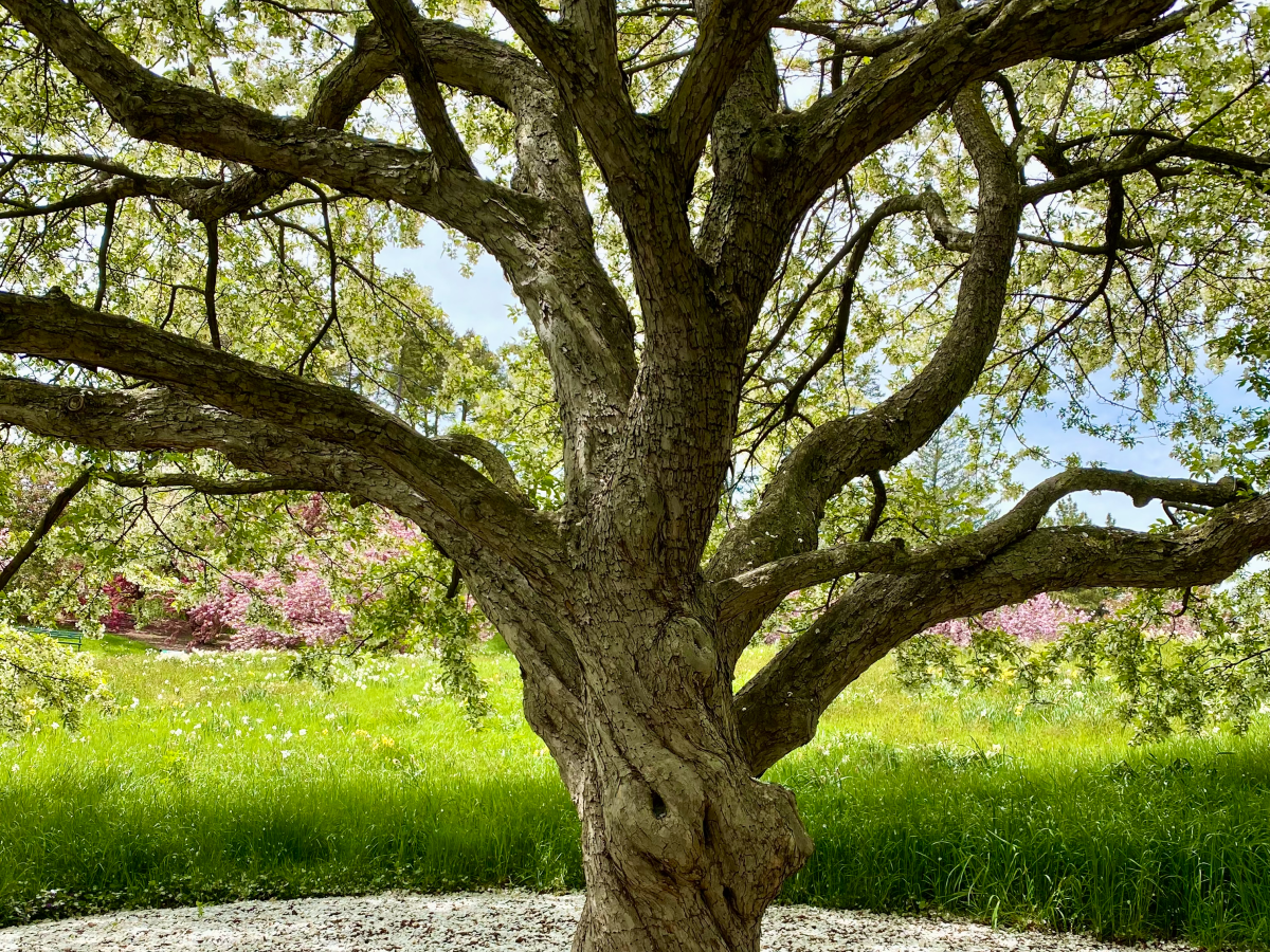 April Musings…