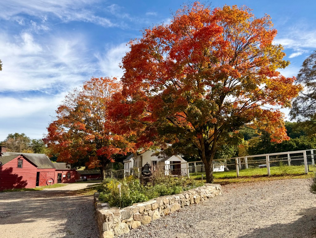 A picturesque autumn scene featuring vibrant red and orange trees beside a gravel path, with a red barn and farmhouse in the background against a clear blue sky.