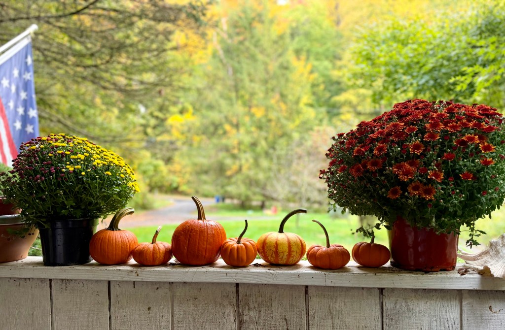 A display of various pumpkins and colorful chrysanthemums on a wooden ledge, with a blurred autumn background featuring trees and an American flag.