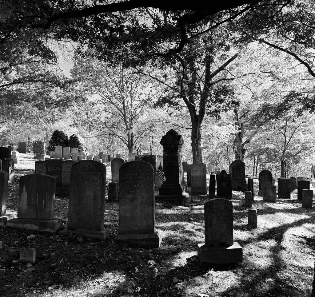 A black and white image of a cemetery showing rows of gravestones and tombstones surrounded by trees and dappled sunlight.