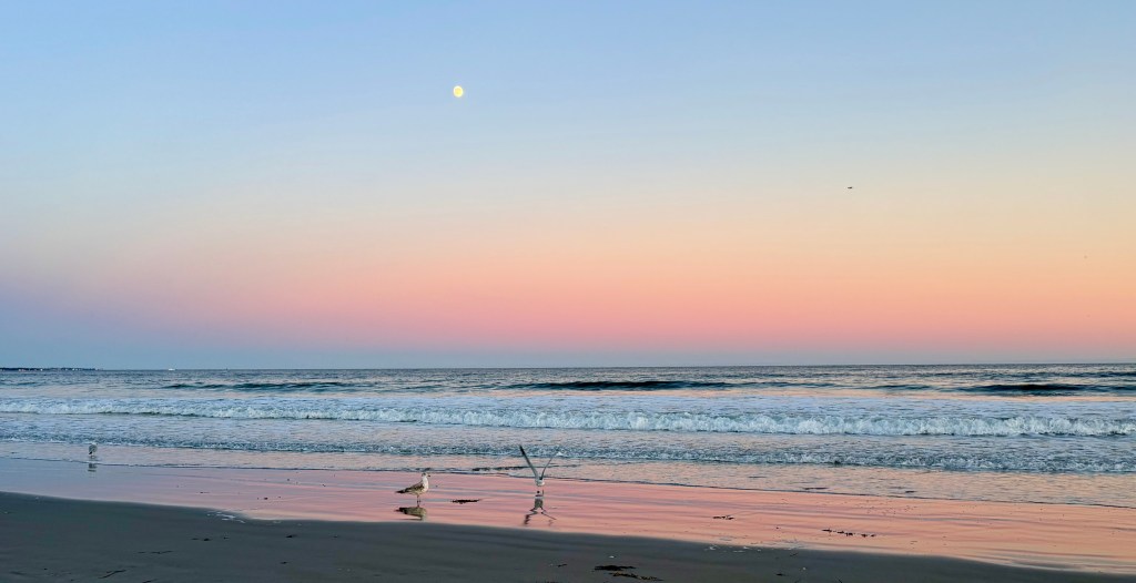 A serene beach scene at sunset, featuring gentle waves and a soft pastel sky with a visible moon.